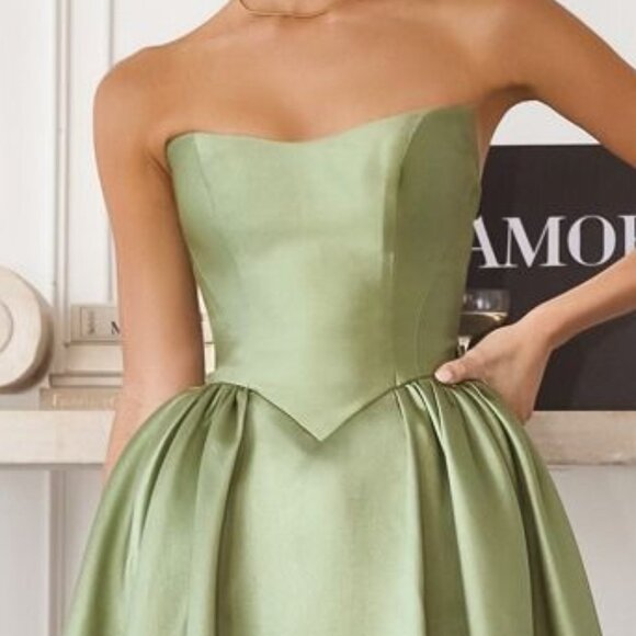 New Sage Fit and Flare Formal Dress w/ Basque Waistline & Lace Up Back CD T822 - Picture 9 of 10